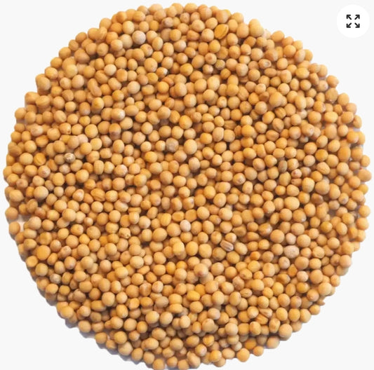Mustard Seed