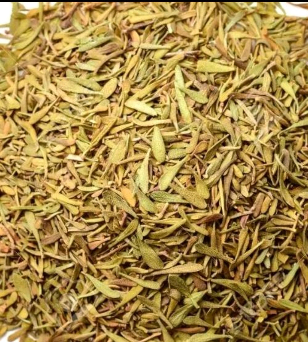 Thyme