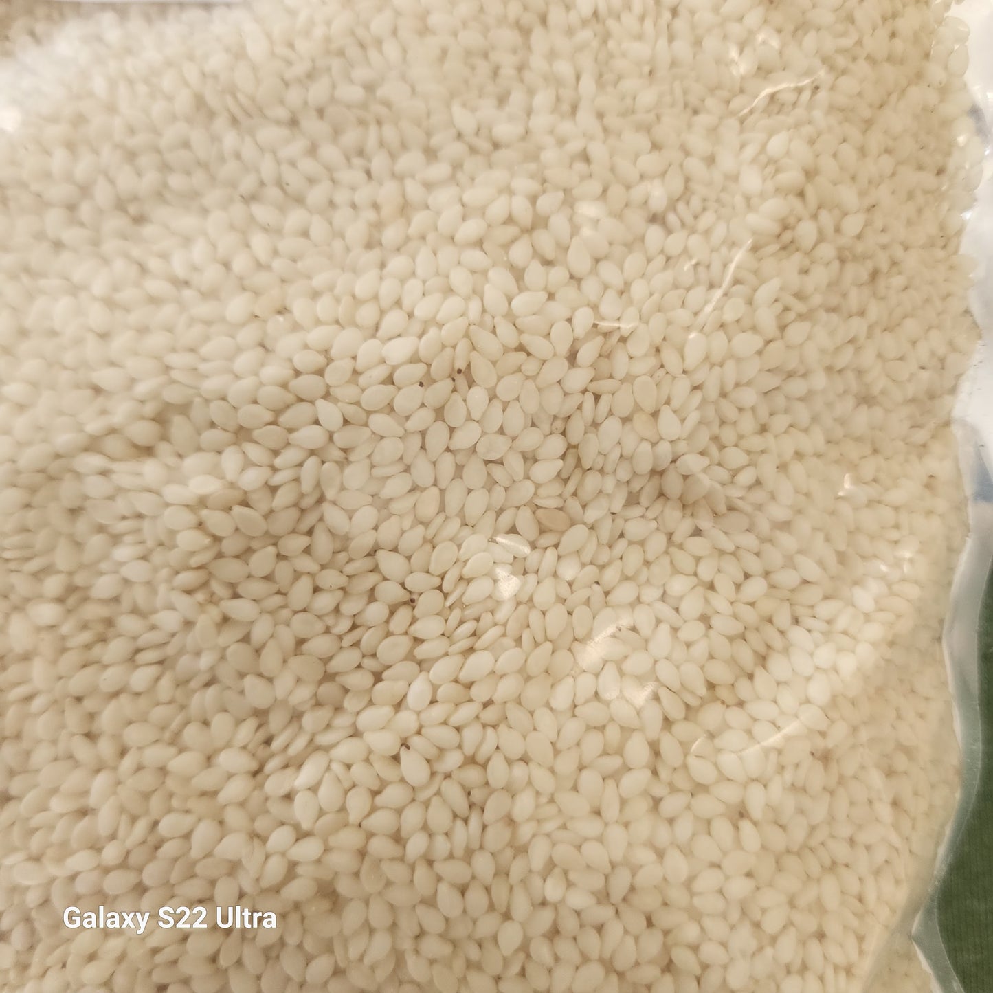 Sesame Seed
