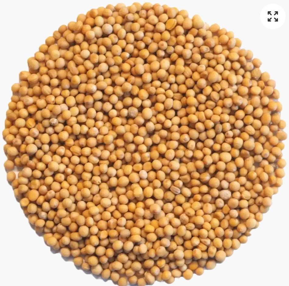 Mustard Seed