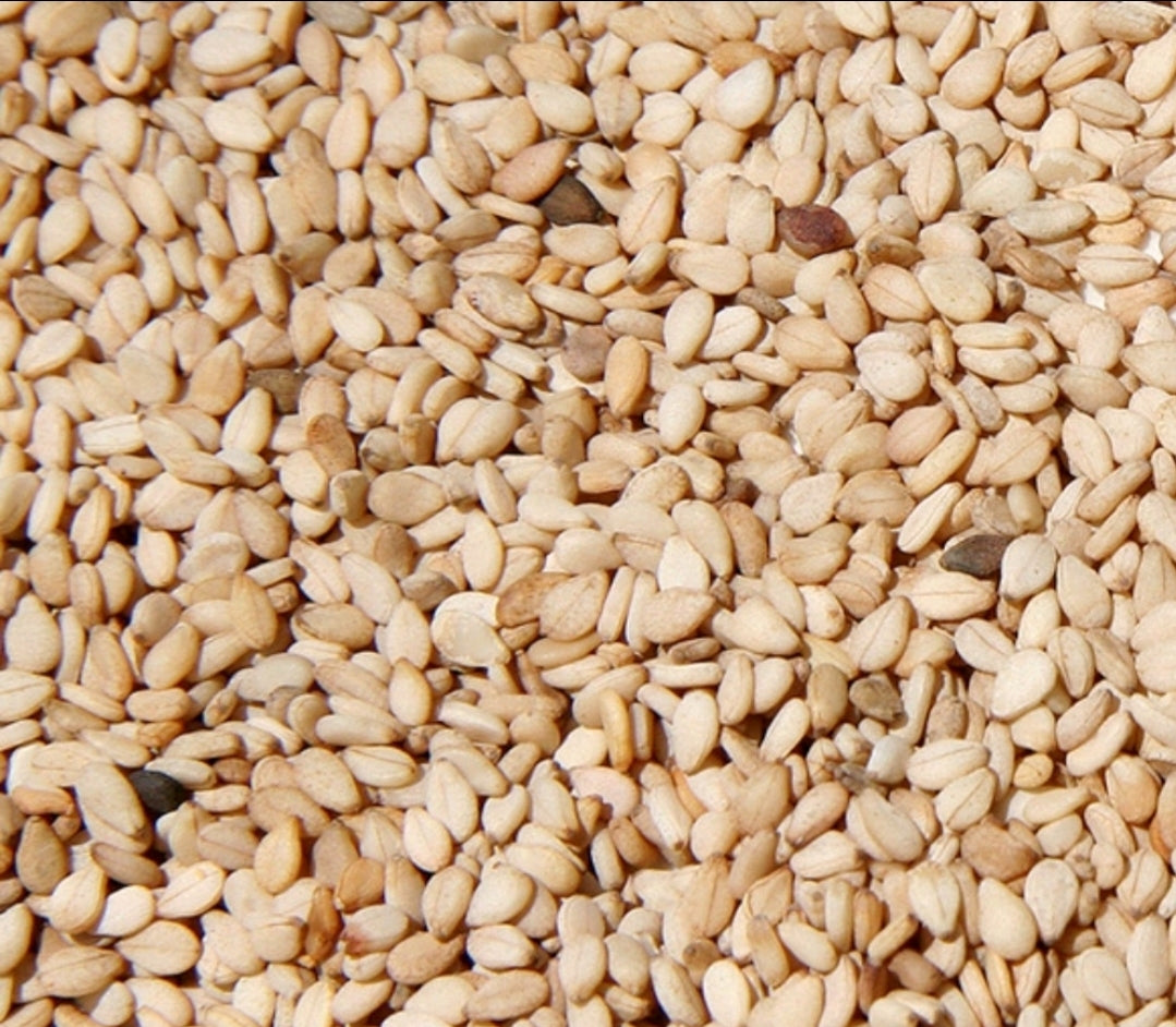 Sesame Seed