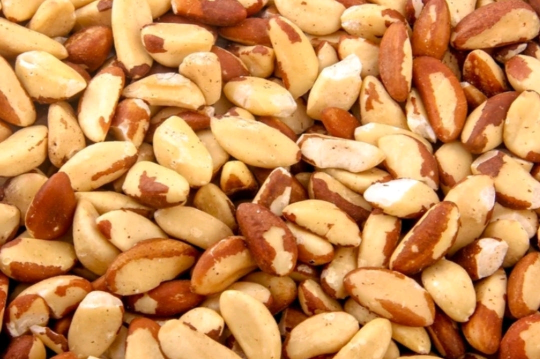 Brazil Nuts Raw