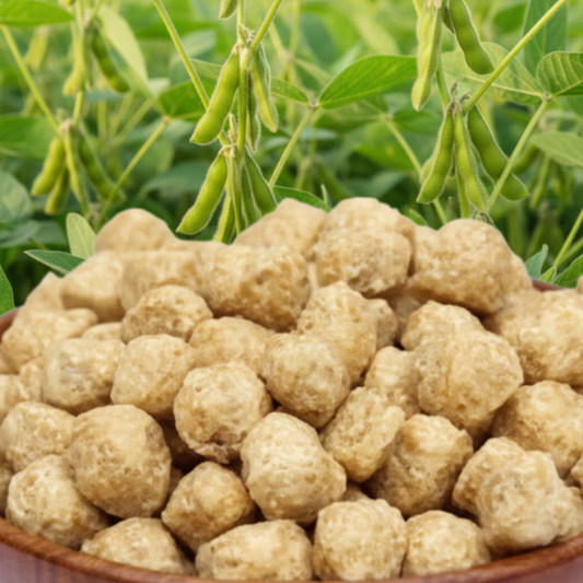Soya chunks